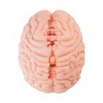 Brain Haker DX onahole review from XTC-Japan by PercyOna