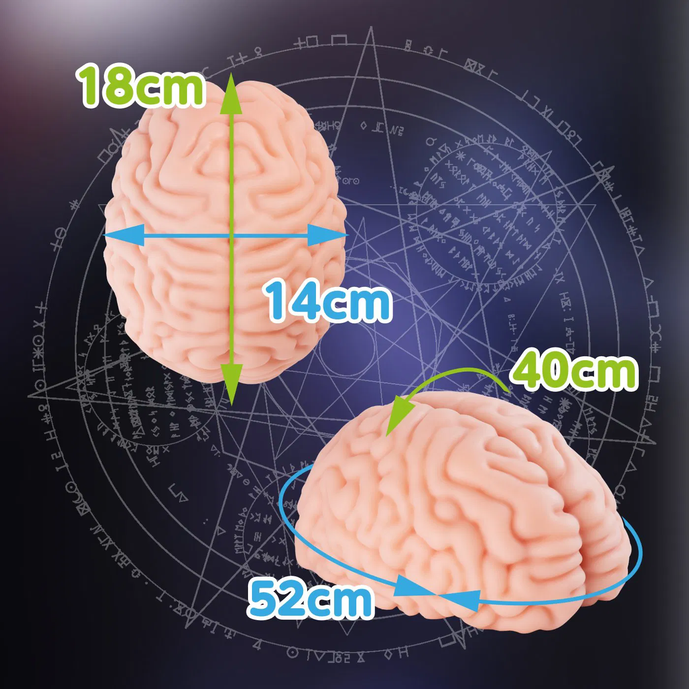 Brain Haker DX onahole review from XTC-Japan by PercyOna