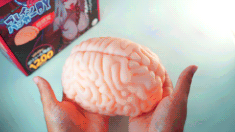 Brain Haker DX onahole review from XTC-Japan by PercyOna