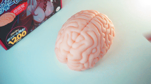 Brain Haker DX onahole review from XTC-Japan by PercyOna