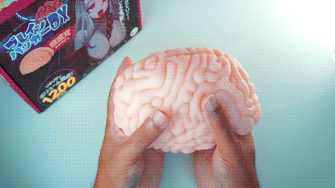 Brain Haker DX onahole review from XTC-Japan by PercyOna