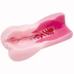 20hand onahole review from Peachtoys by percyona