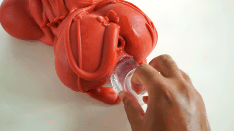 Meru The Succubus Blowjob Hentai Doll review from MRLSexDoll by Percyona