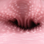 Venus Clone Rich Soft onahole review from Tomax by PercyOna