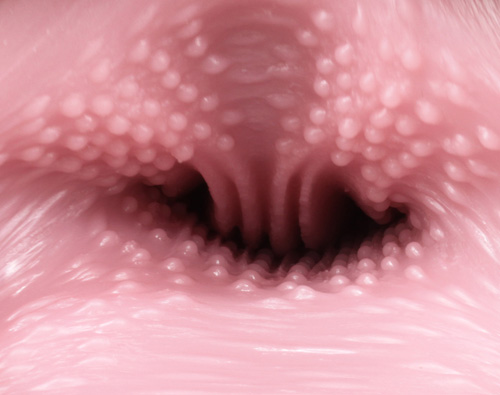 Venus Clone Rich Soft onahole review from Tomax by PercyOna