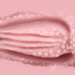 Venus Clone Rich Soft onahole review from Tomax by PercyOna