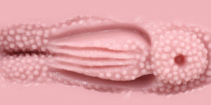 Venus Clone Rich Soft onahole review from Tomax by PercyOna