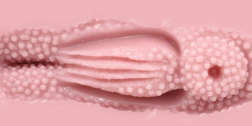 Venus Clone Rich Soft onahole review from Tomax by PercyOna