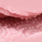 Venus Clone Rich Soft onahole review from Tomax by PercyOna