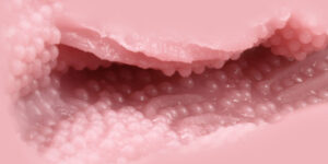Venus Clone Rich Soft onahole review from Tomax by PercyOna