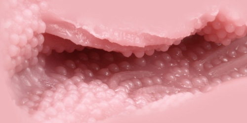 Venus Clone Rich Soft onahole review from Tomax by PercyOna