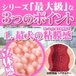 G-19 Reality onahole review 17Reality from ToysHeart by PercyOna
